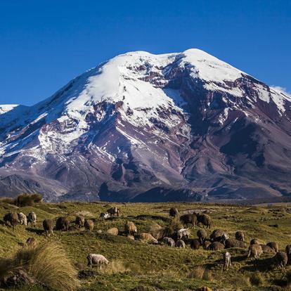 Photo de Chimborazo